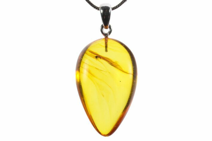 Polished Baltic Amber Pendant (Necklace) - Contains Fly! #352985